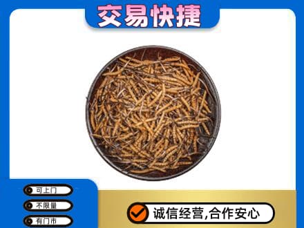 舟山回收散虫草